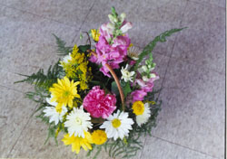 Daisy arrangement